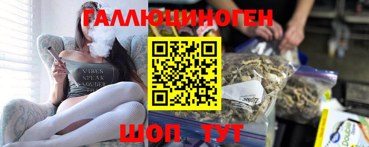 Чапаевск  Псилоцибиновые грибы GOLDEN TEACHER  Вход с VPN 